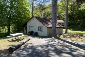 Cabin 6
