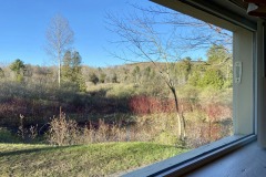 Cabin 6 window riverview