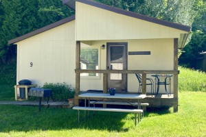 Cabin 9